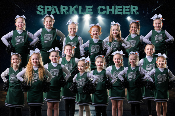 team sparkle cheer