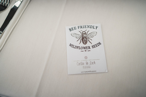 CZ-Wedding-006